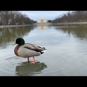 Bundle and save ♥️😁